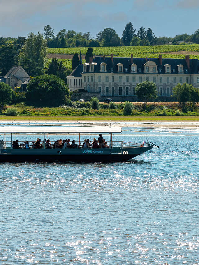 Loire Odyssée boat