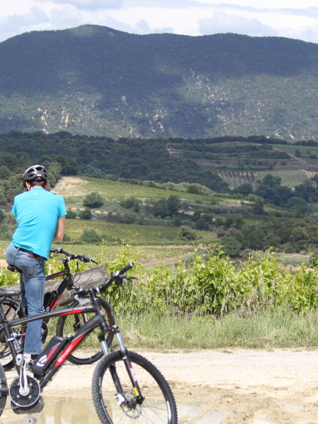 Intersport - Locations de vélos