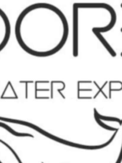 Moorea Underwater Experience - Sorties Baleines