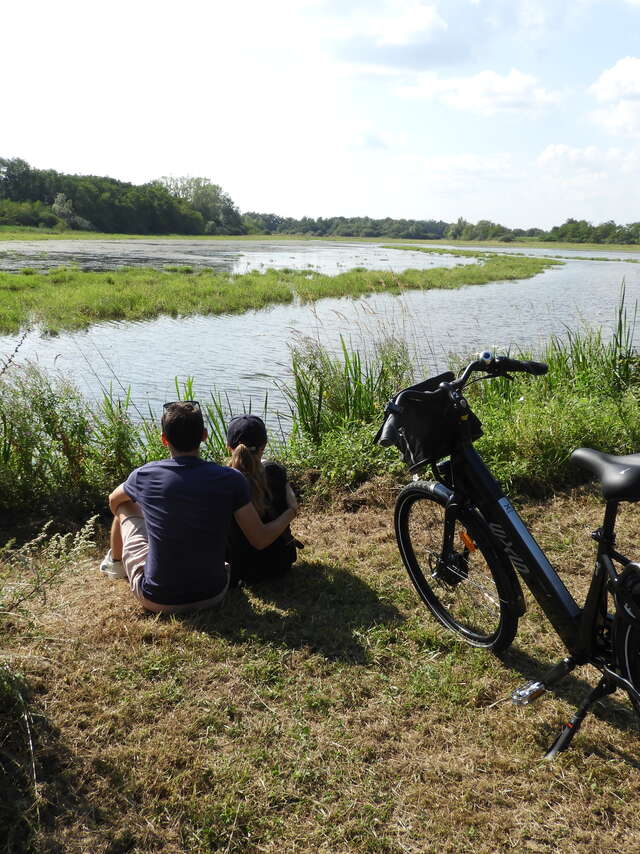 Les Locations des Dombes