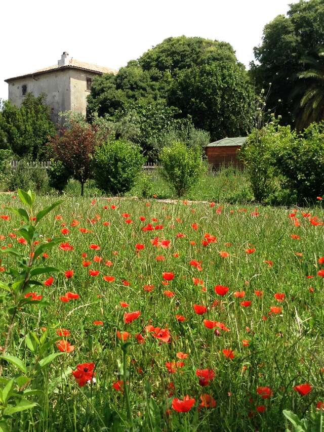Visite des Jardins de la Bastide Marin