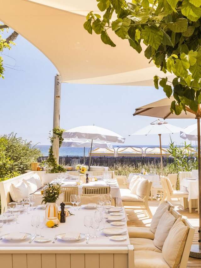 Loulou à Ramatuelle