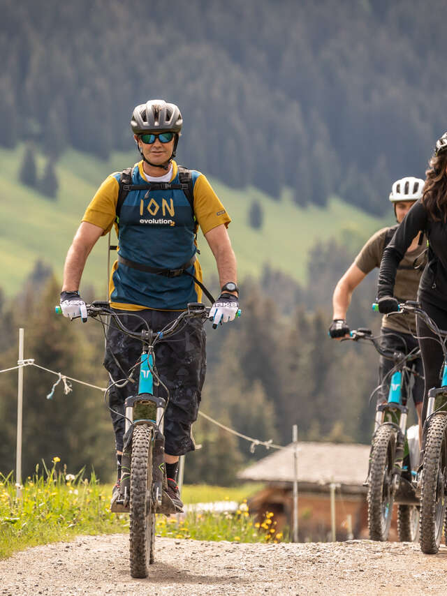 E-mountains trottinettes privée