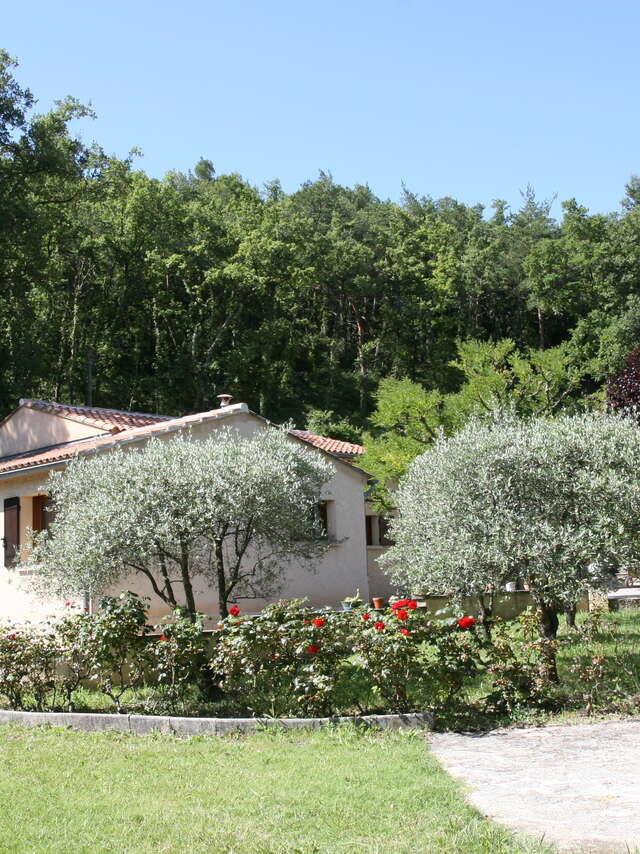 Les Verveines de Vaison