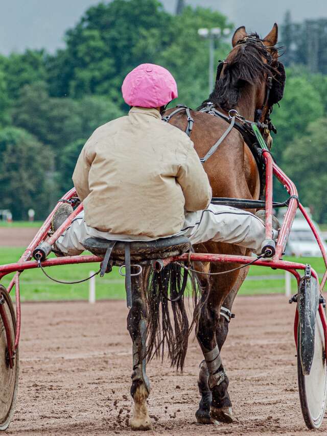 Grand Prix du Conseil Municipal à l'Hippodrome de Vichy-Bellerive