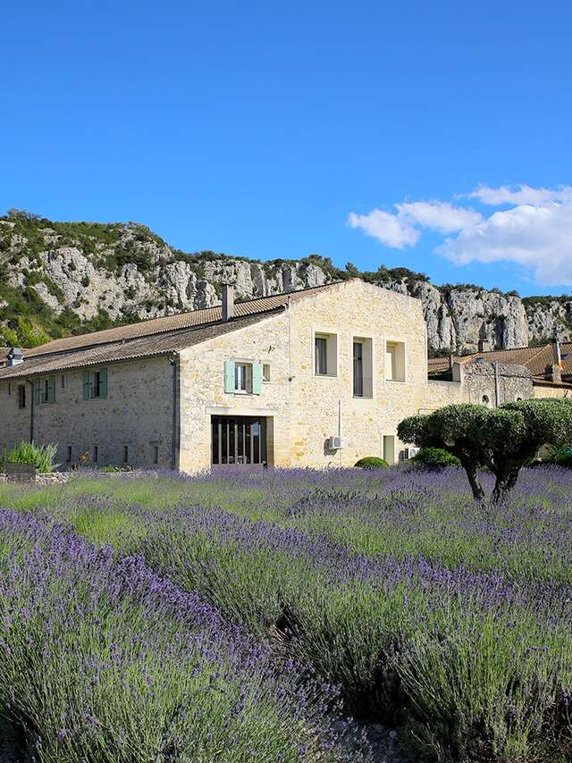 Tra Vigna e Macchia mediterranea