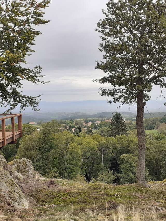 Sylvetum du Bois des Gaulois