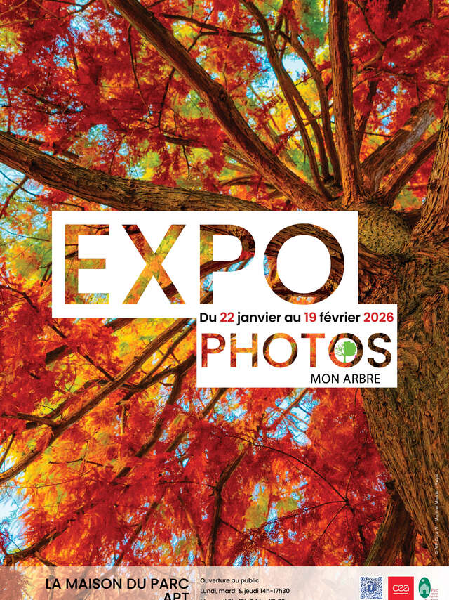 Exposition de photos : Mon arbre