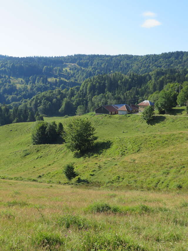Rencontre à l'alpage de la Cluse : visite guidée