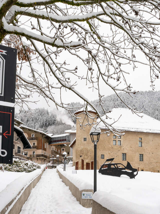Maison Forte de Hautetour