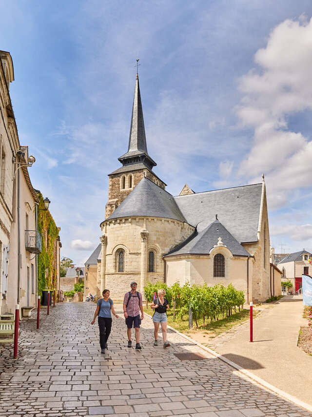 Sur les coteaux de Savennières