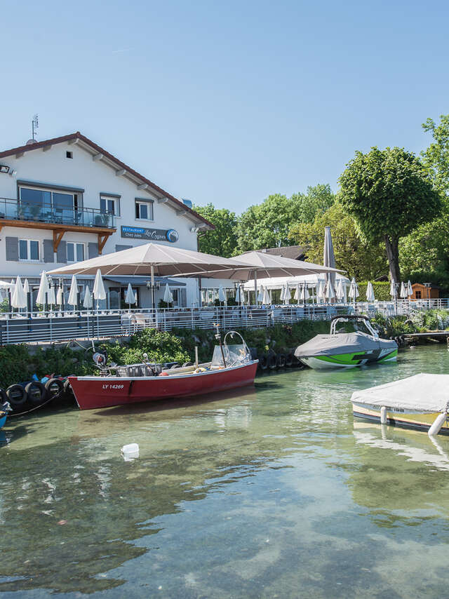 Les Cygnes - "Chez Jules"