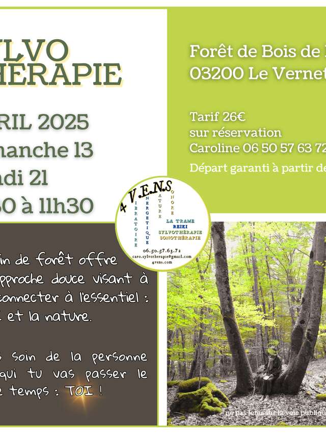 Sylvothérapie - bain de forêt