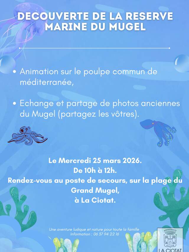 Schatzsuche nach dem Gewöhnlichen Kraken im Mittelmeer