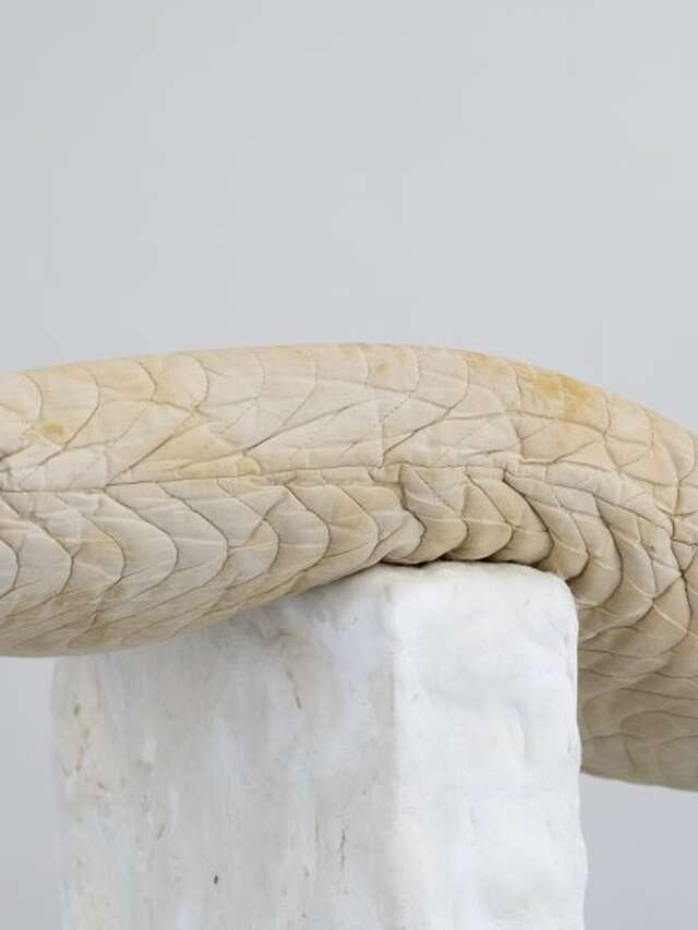 Exposition - Transmission