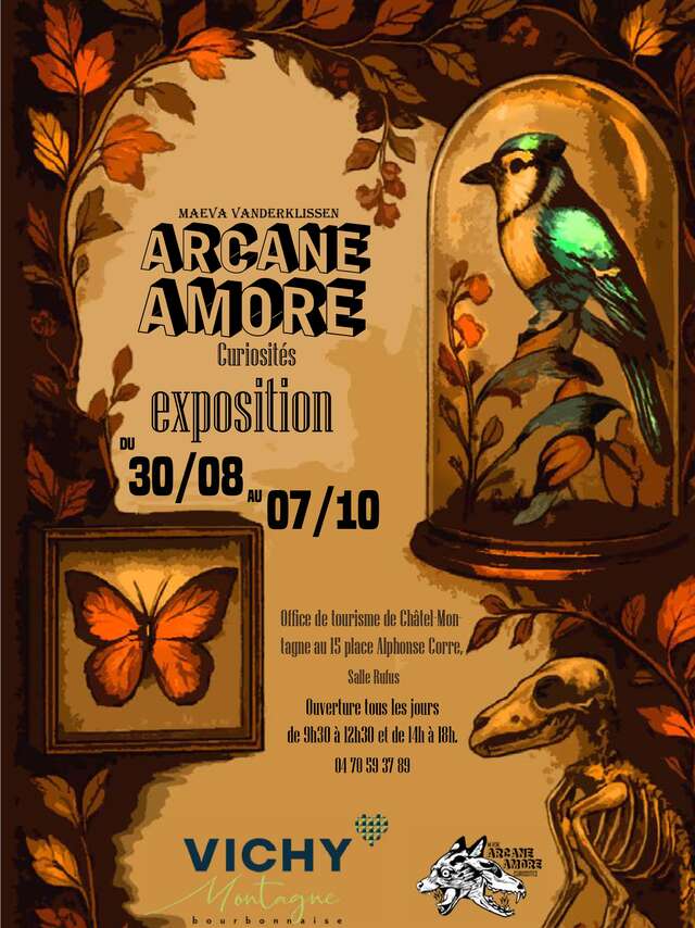 Exposition - Curiosités - Arcane Amore