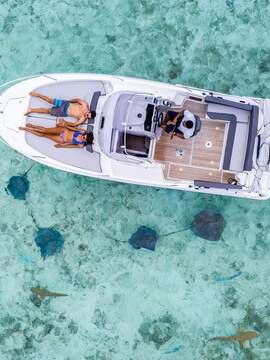 Moana Adventure Tours - Sortie Baleines