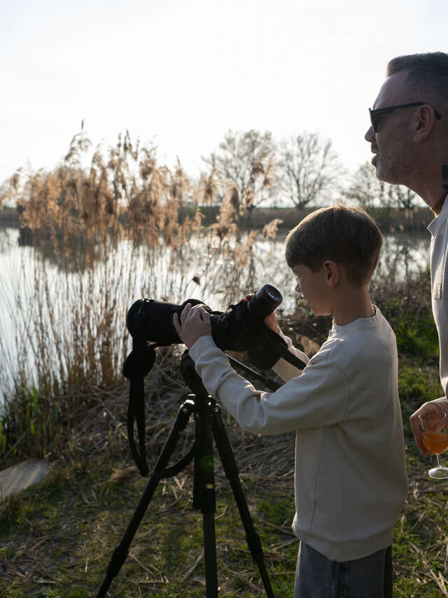 Meeting the birds of the Dombes