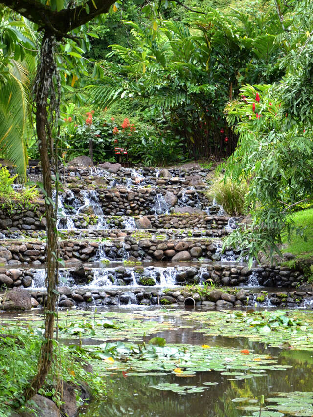 Jardins D'eau De Vaipahi