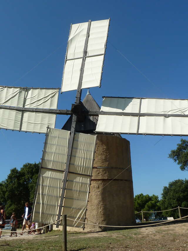 Tage der Mühlen und des Mühlenerbes