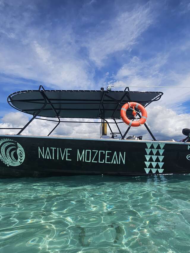 Native Mozcean - Sortie baleines
