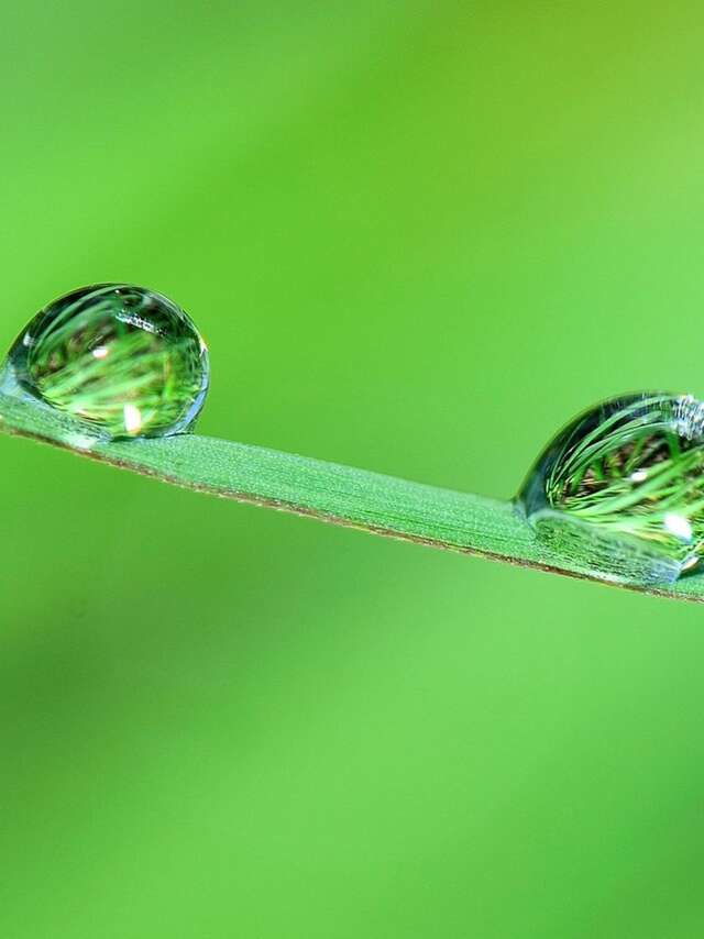 Schauspiel 'Petite Source' (Kleine Quelle)