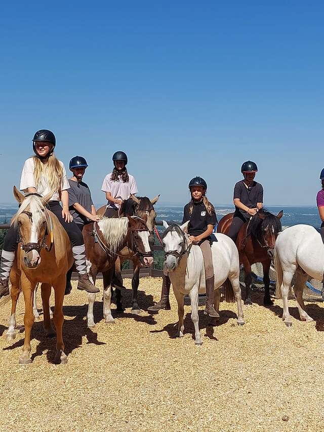 Le Poney Cernaise, l'équitation au naturel