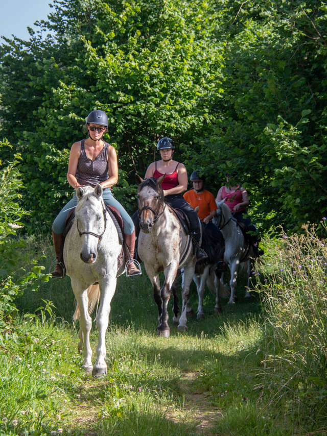 Entre ciel et terre - Balades et randonnées à cheval