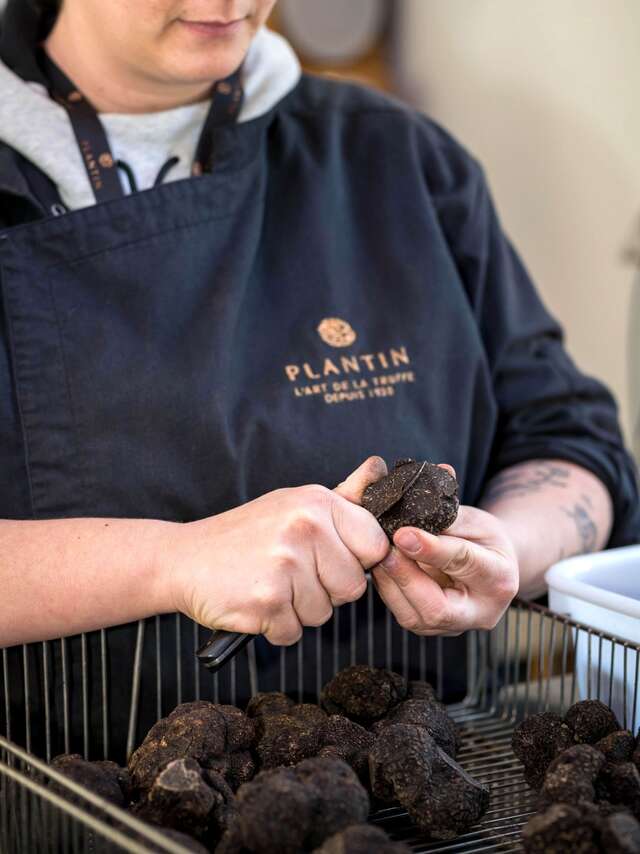 Journée portes ouvertes à la Maison Plantin Truffes