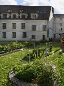 Visite bien-être - Le soin par les plantes d'hier à aujourd'hui