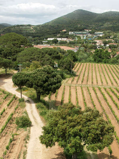 Le Clos de Ste Maxime