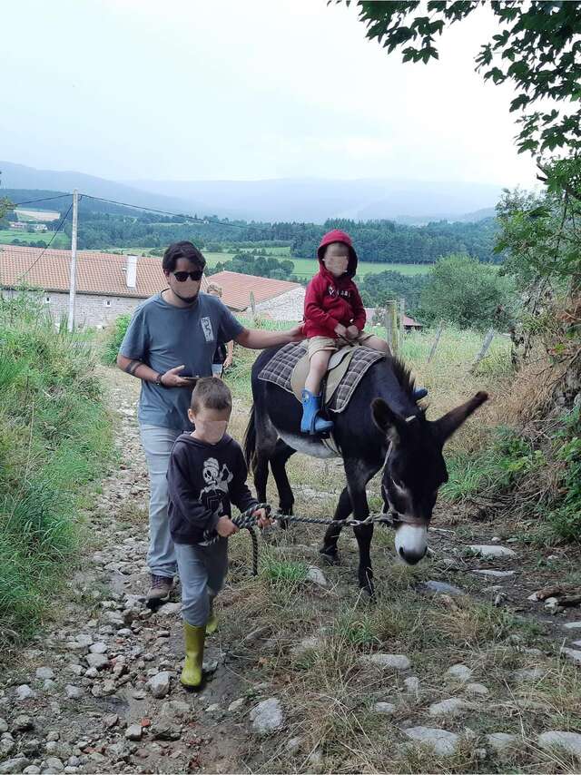 Randos pays'ânes - randonnées accompagnées d'un âne