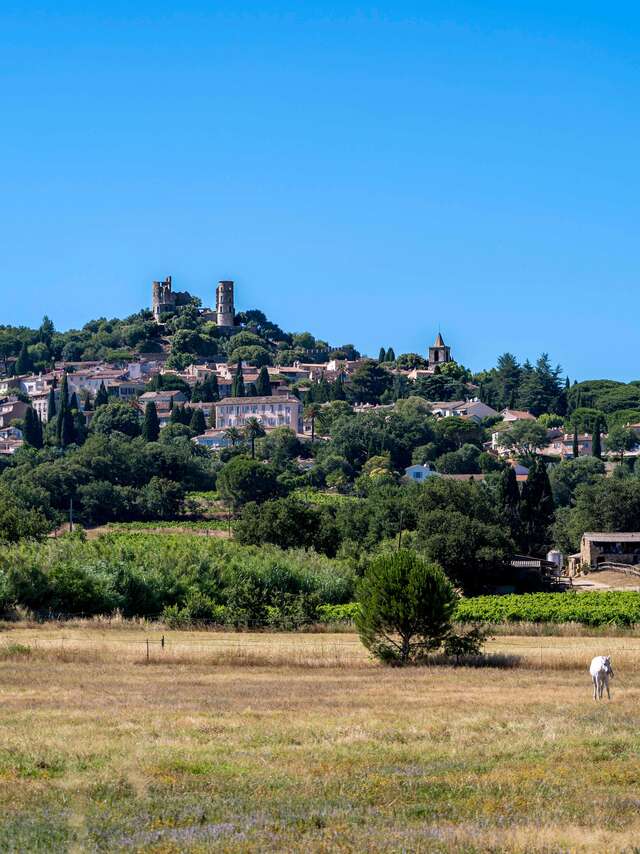 Sentier de Grimaud à Cogolin par la Fons Couverte