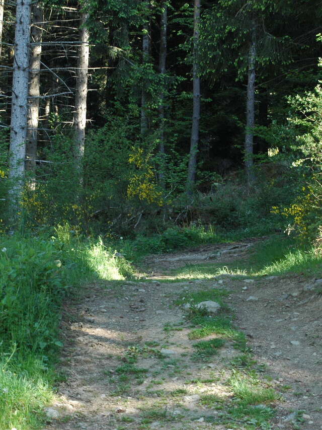 Randonnée gourmande au Rocher Saint-Vincent à Lavoine