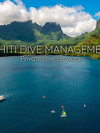 Tahiti Dive Management - Sortie Baleines