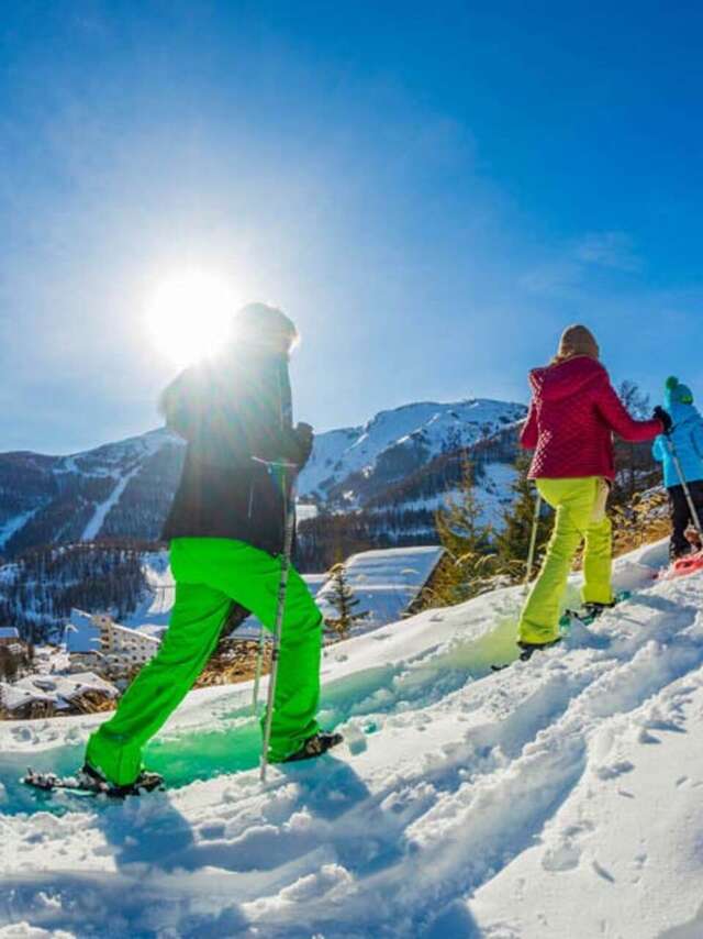 Snowshoes