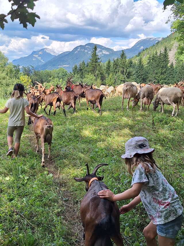 À l'aurore paysanne l Renc'Arts du Parc