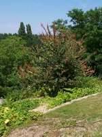 Jardin botanique
