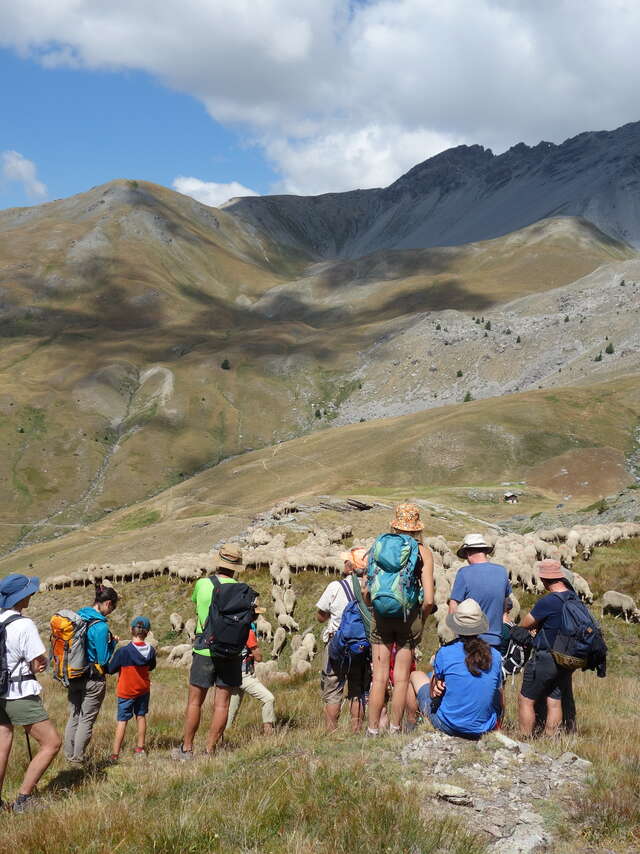 Sortie Parc - Etre berger aujourd'hui - Alpage de l'Agrenier