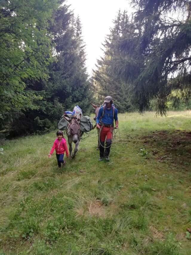 Florent Armand - accompagnateur en montagne - rando avec les ânes