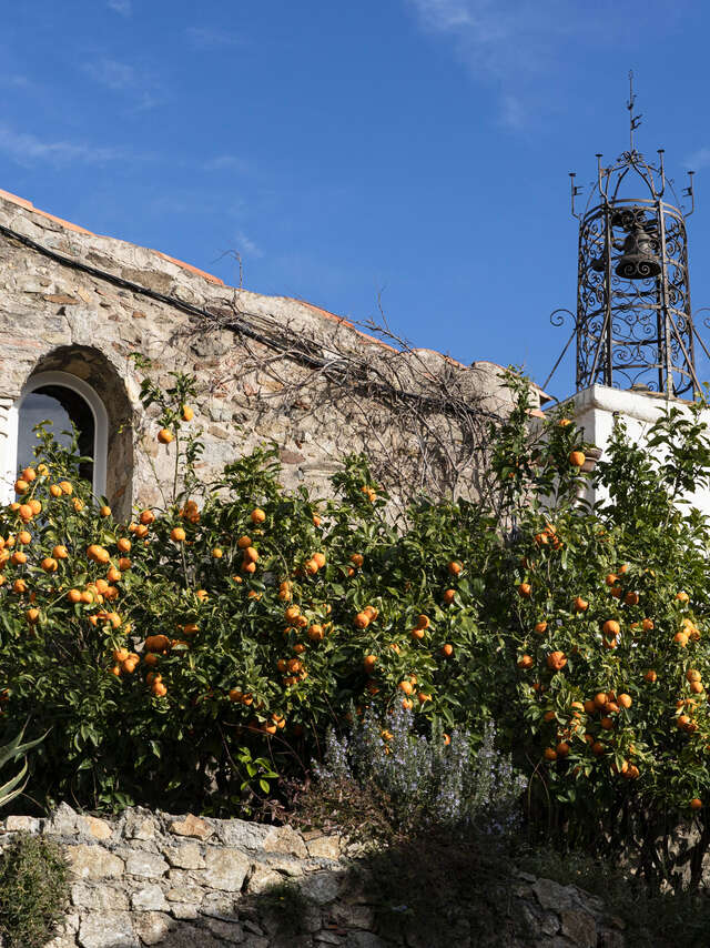 La balade des agrumes