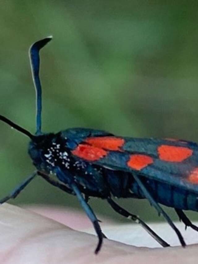 Ventoux Nature&Terroir
