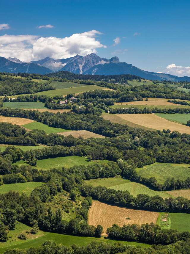 Balade découverte de la nature