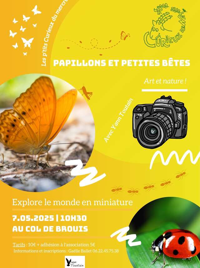 Visite commentée "Papillons et Petites Bêtes : Explore le monde en miniature"