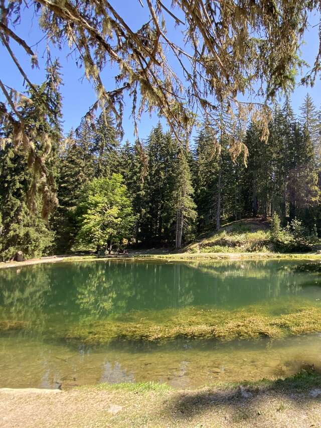 Lake of "Les Evettes"