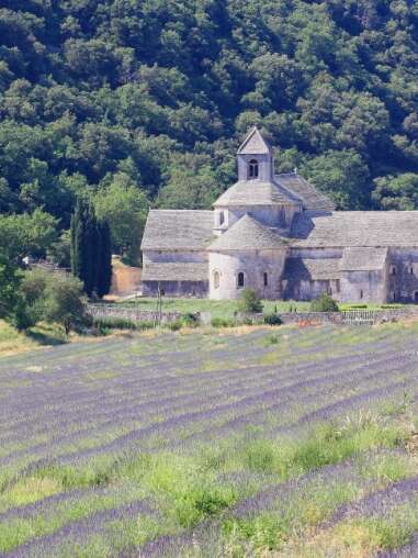 Notre-Dame de Sénanque Abbey