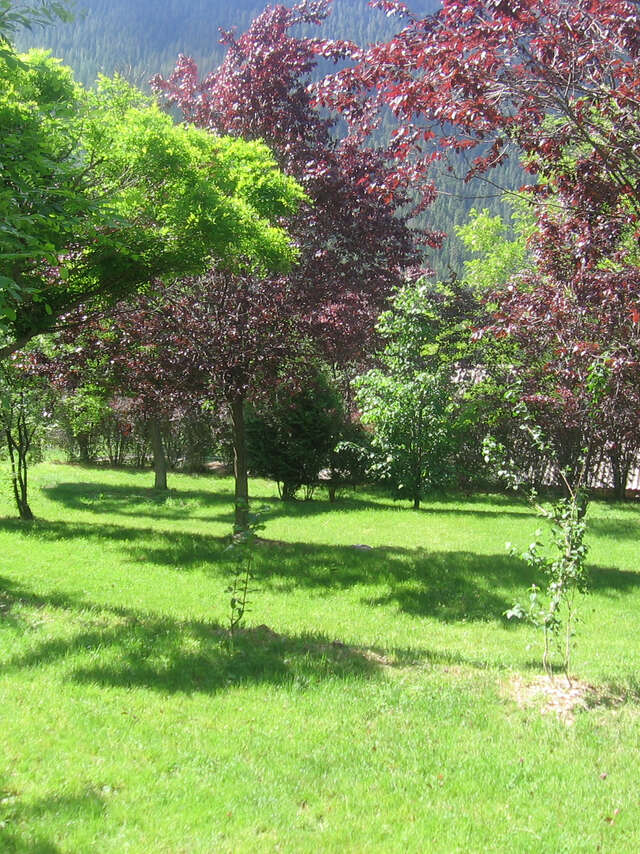 Camping de la Ferme