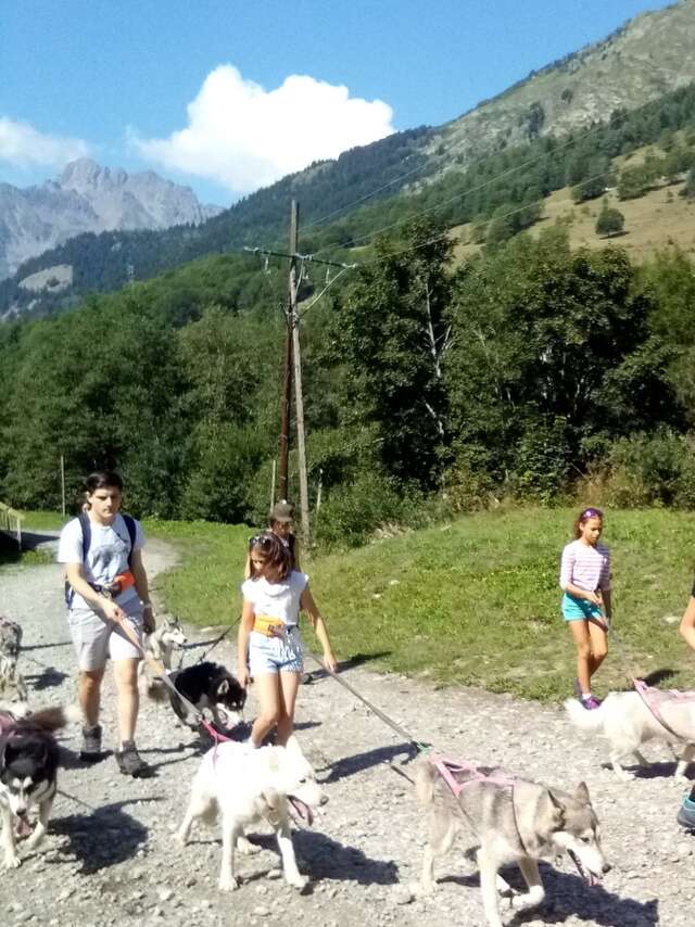 Cani Balade