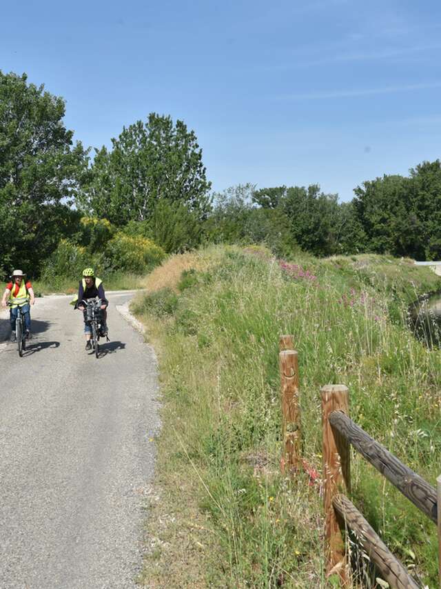 Les Foins de Montfavet-balade à vélo-58