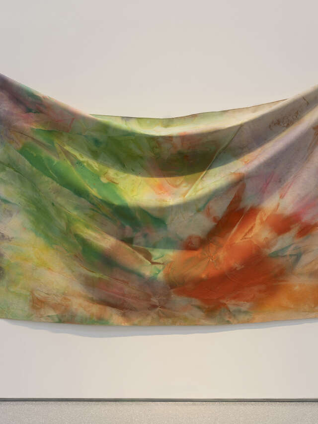 Exposition - Flying Colors. Dialogue avec les collections du Minneapolis Institute of Art